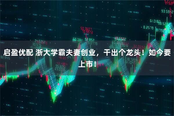 启盈优配 浙大学霸夫妻创业，干出个龙头！如今要上市！